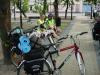 Kliknij, aby zobaczyć. rowery_czestochowa_48_t1.jpg